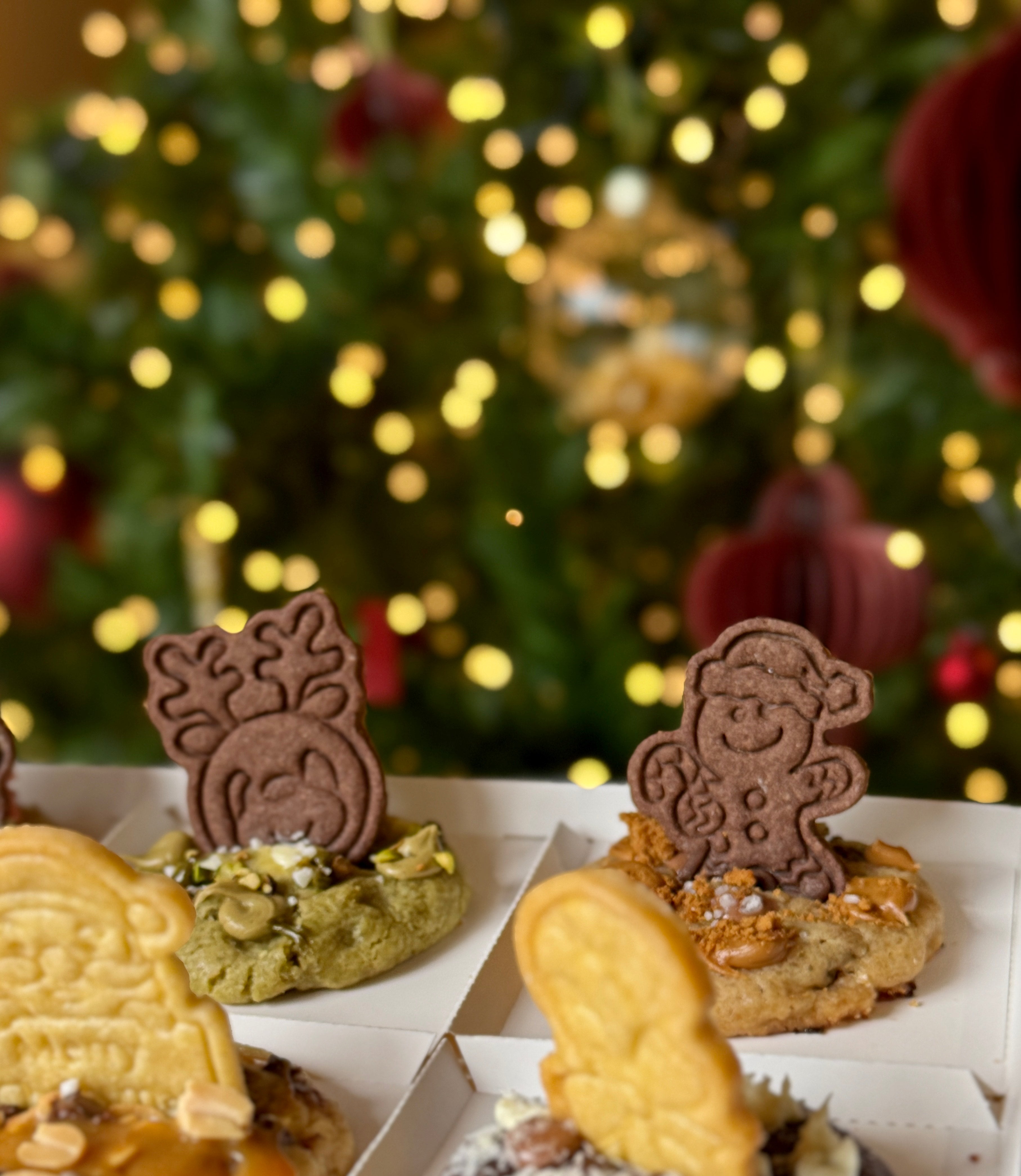 Box cookies natalizia 4 pezzi